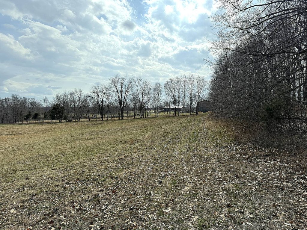 Picture 14