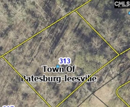 Residential Lot in Leesville, SC