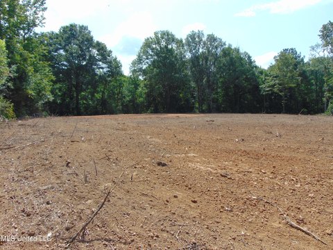Wesson, MS Land Opportunity
