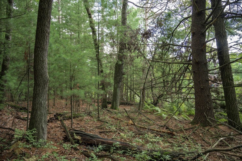 Picture 33