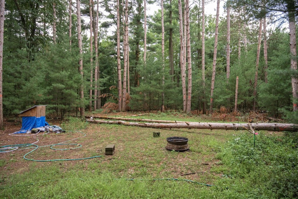 Picture 11