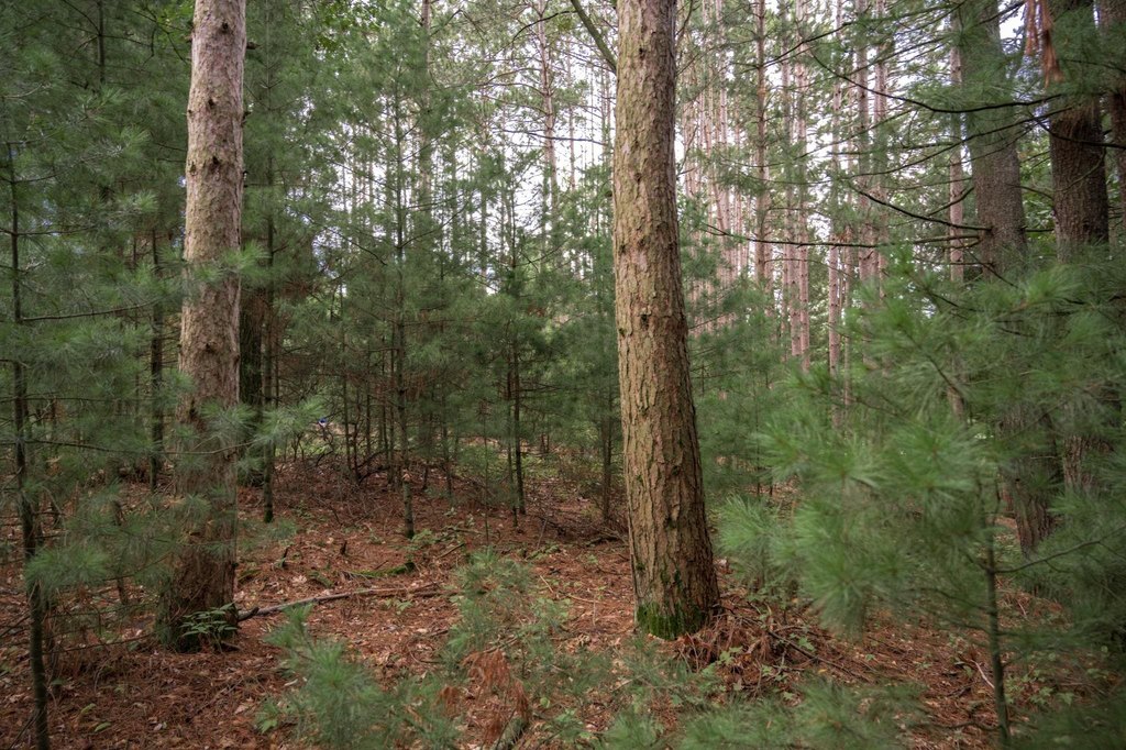 Picture 34