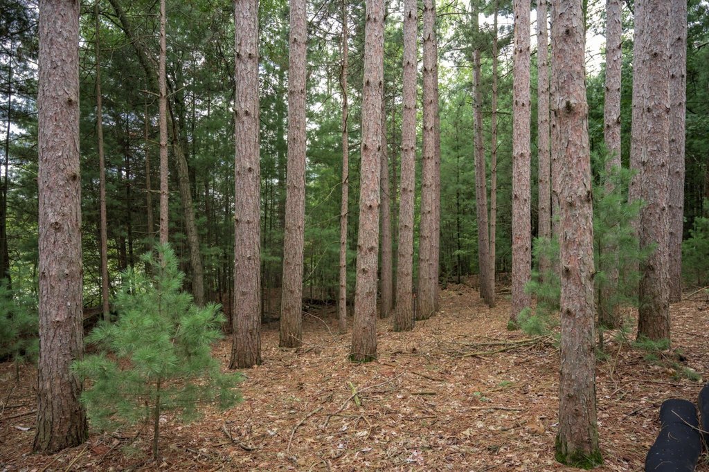 Picture 30