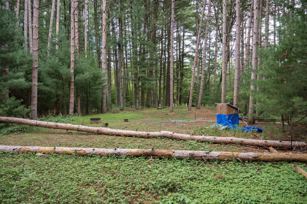 Picture 4