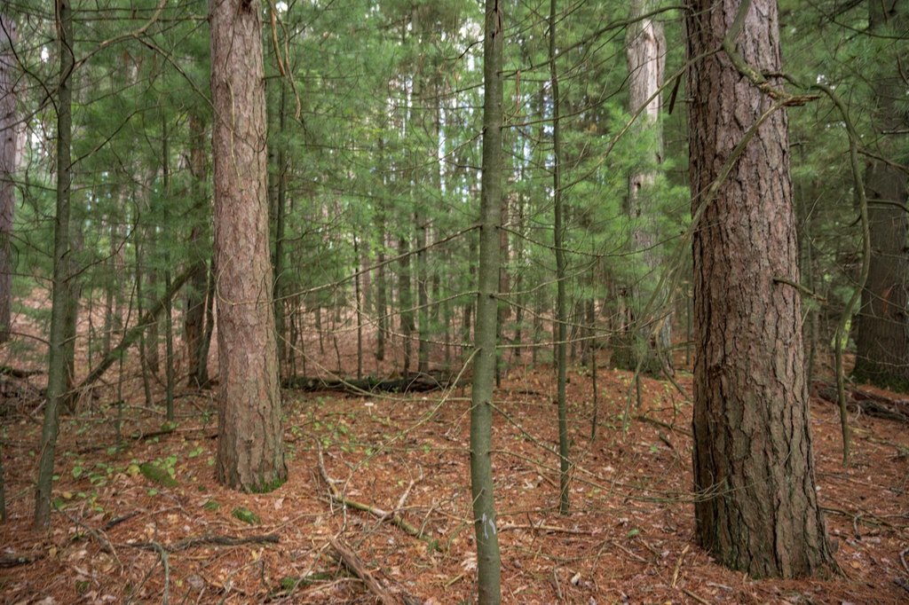 Picture 32