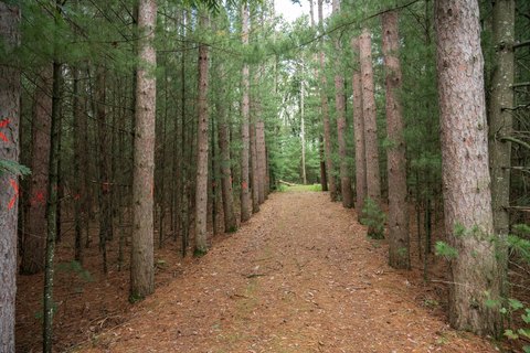 Lots & Acreage, Wisconsin Dells, WI