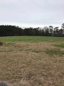 Poplarville, MS Lakefront Lot