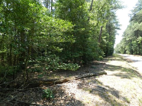 Wooded Lot in Jamesville, VA