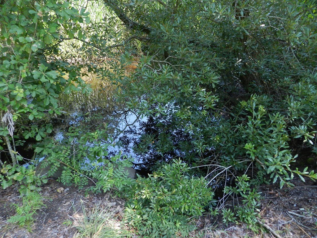 Picture 21