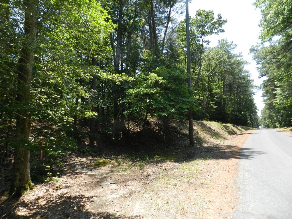 Picture 22