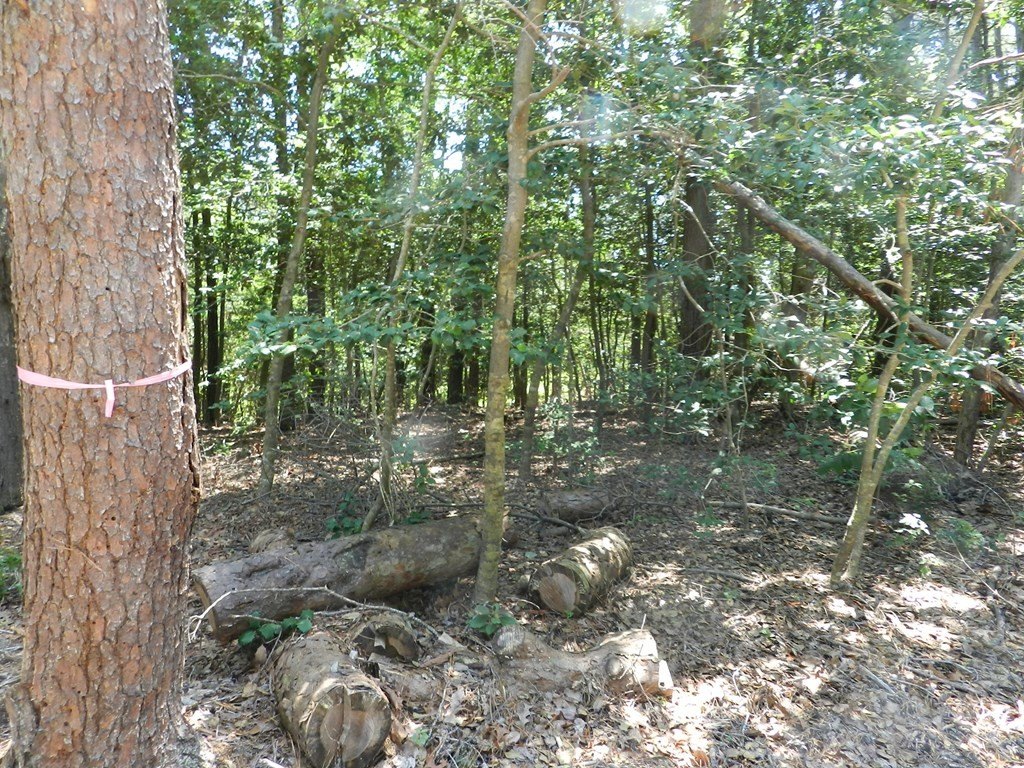 Picture 23