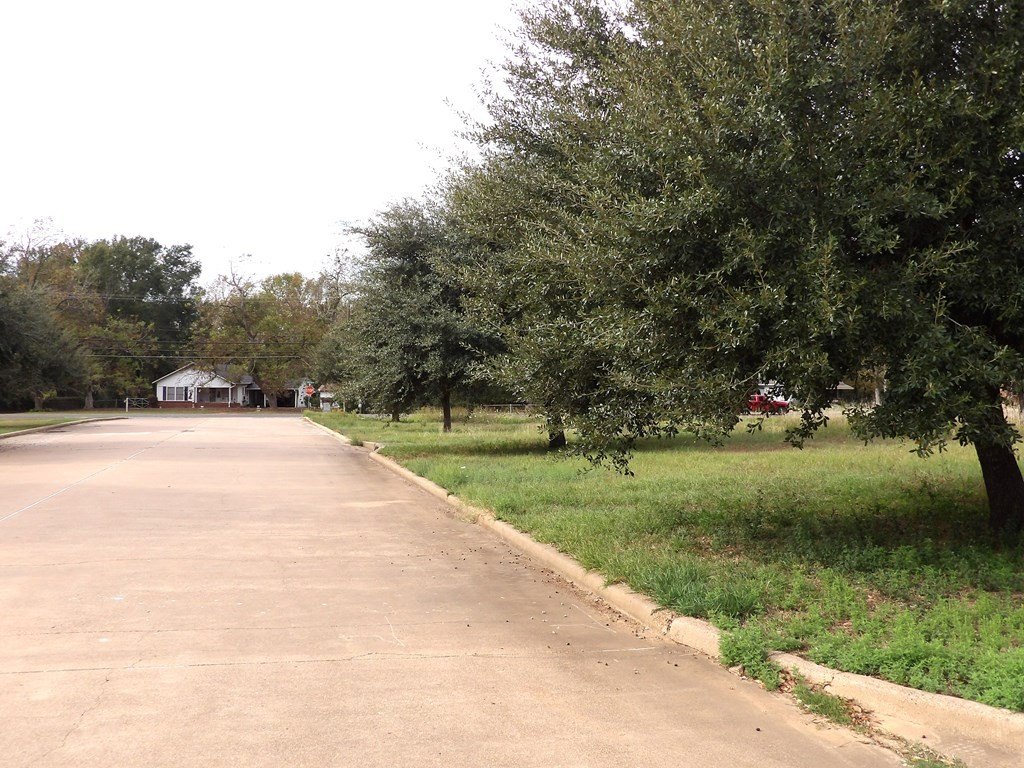 Picture 17