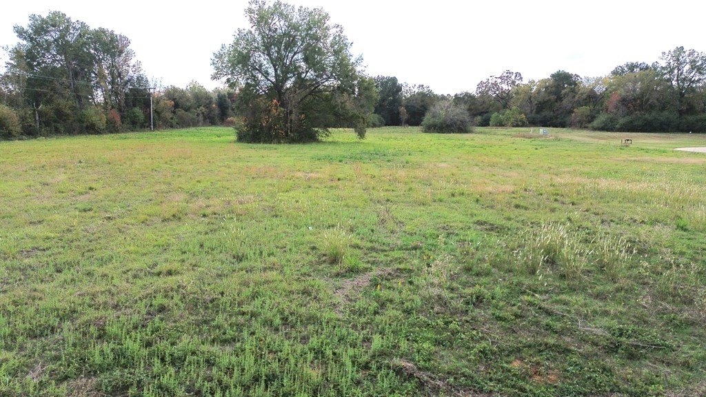Picture 11