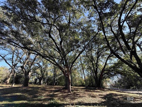 Fairhope Land with Mature Oaks