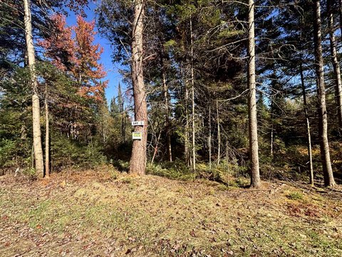 LAND - Brighton, VT