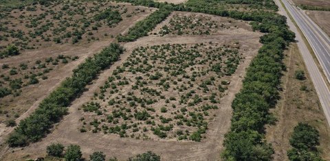 16 Acres on Highway 281