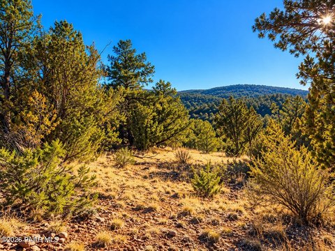 Land, Seligman, AZ
