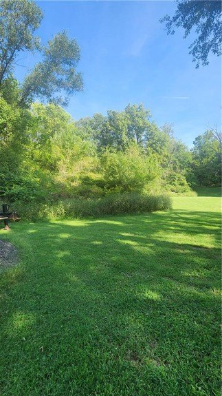 Picture 3