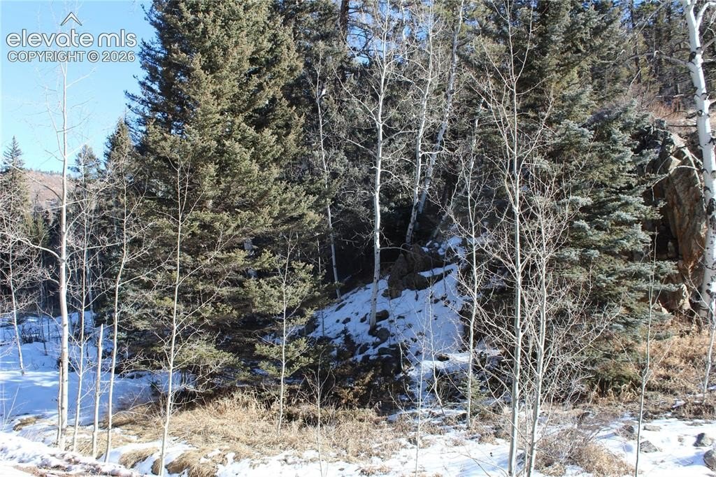Picture 37