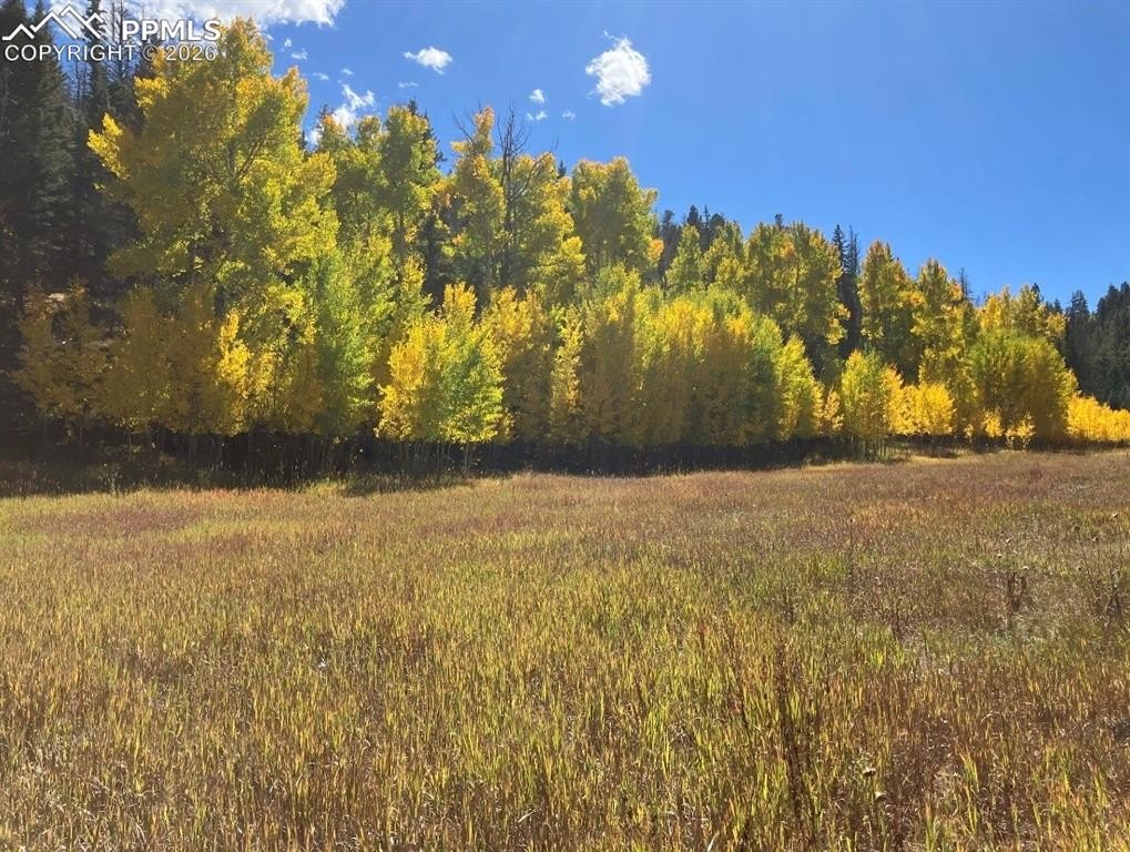 Westcliffe Land with Creek Access