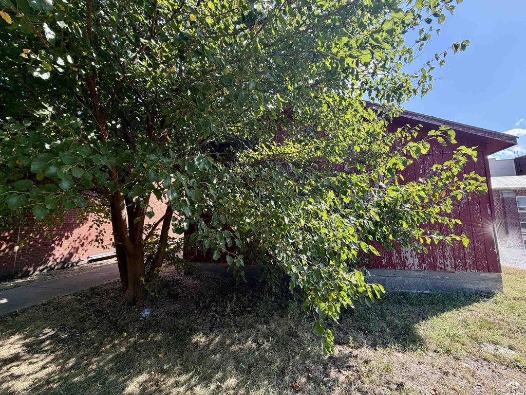 Picture 21