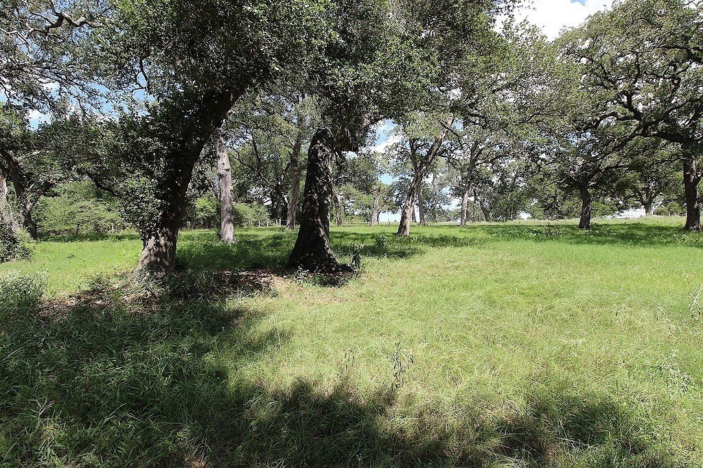 Fayette County Acreage Homesite Opportunity
