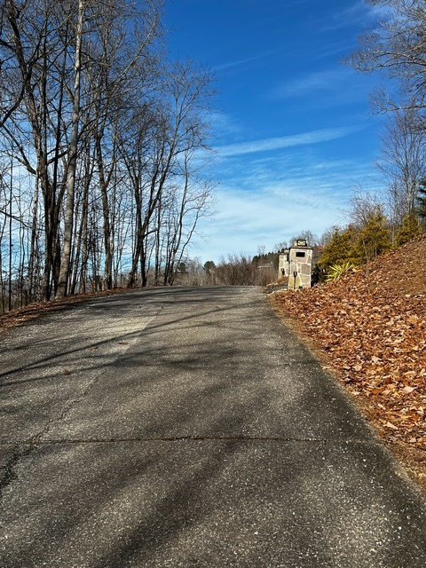 Picture 12