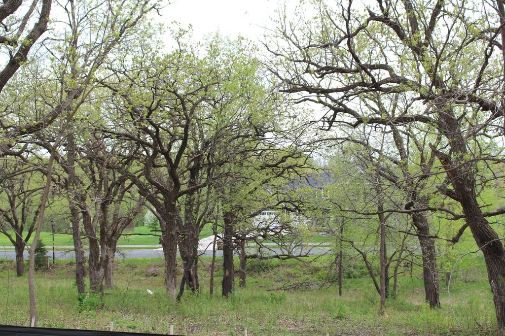 Picture 9