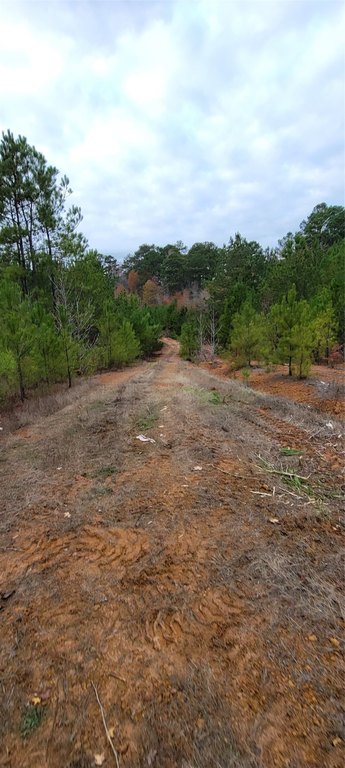 Picture 9