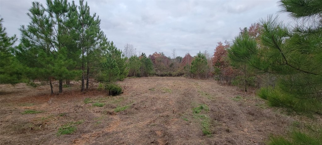 Picture 11