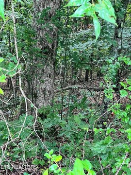 LAND - Decatur, TN