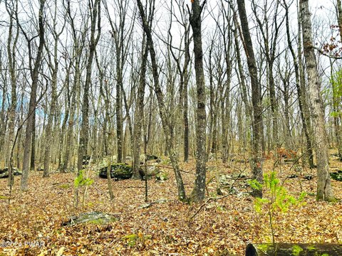 Land with Community Amenities