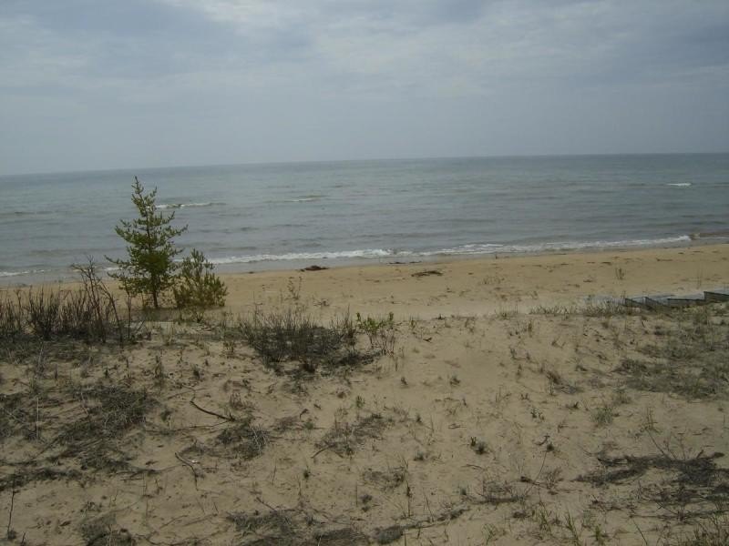 Picture 3