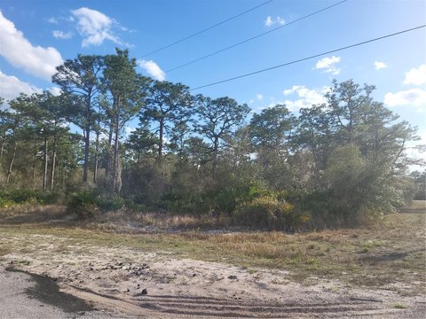 Land - INDIAN LAKE ESTATES, FL