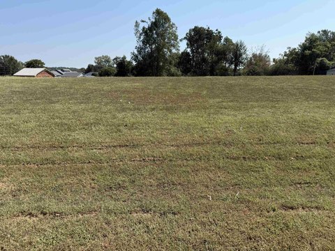 Land, Savannah, TN