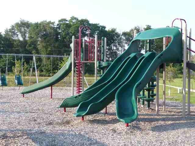 Picture 7