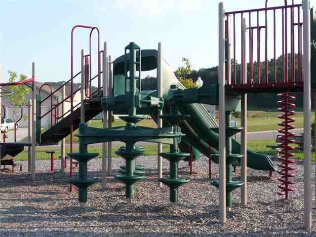 Picture 5