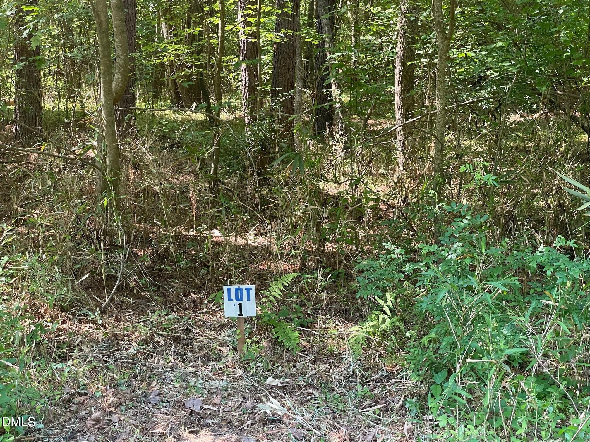 Wooded Lot Near Raleigh
