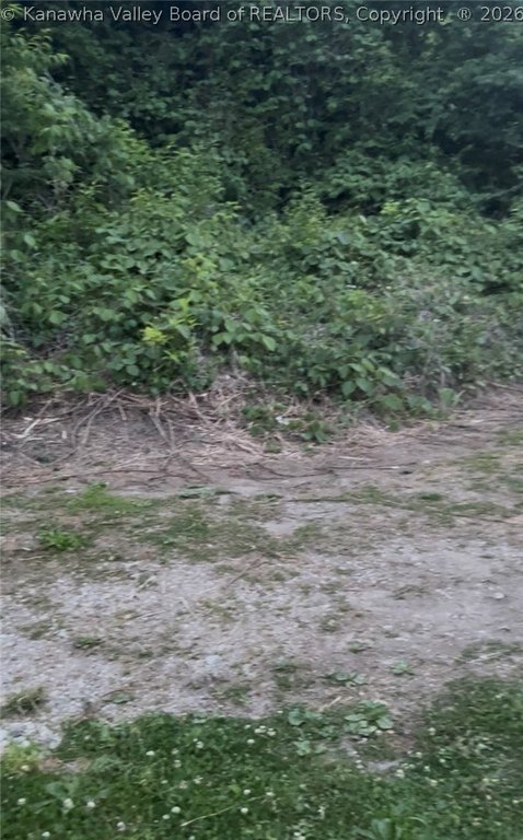 Picture 4