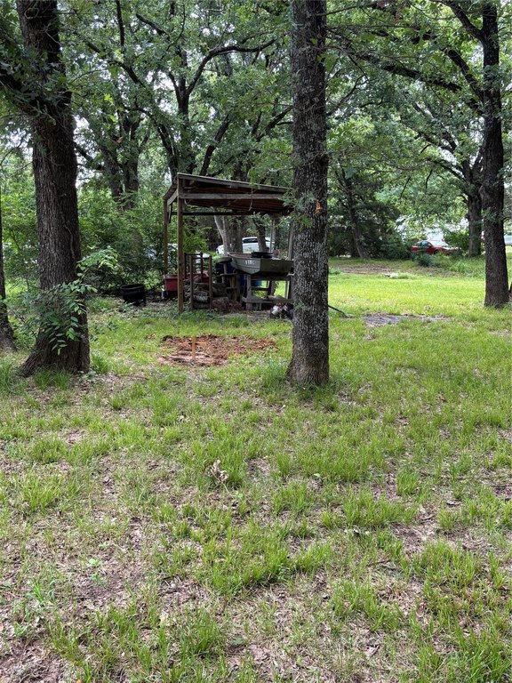 Picture 2
