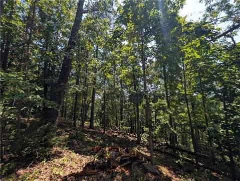 Land, Rogers, AR