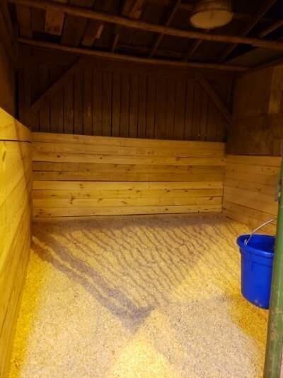 Picture 14