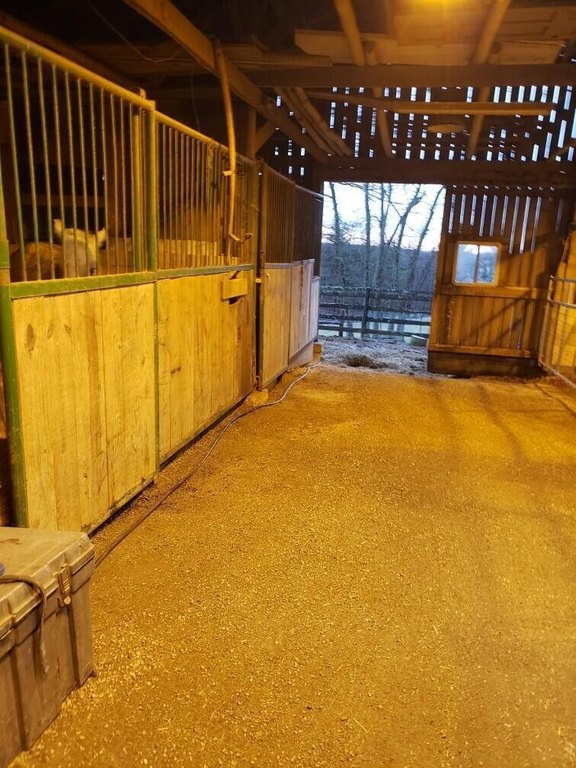 Picture 13