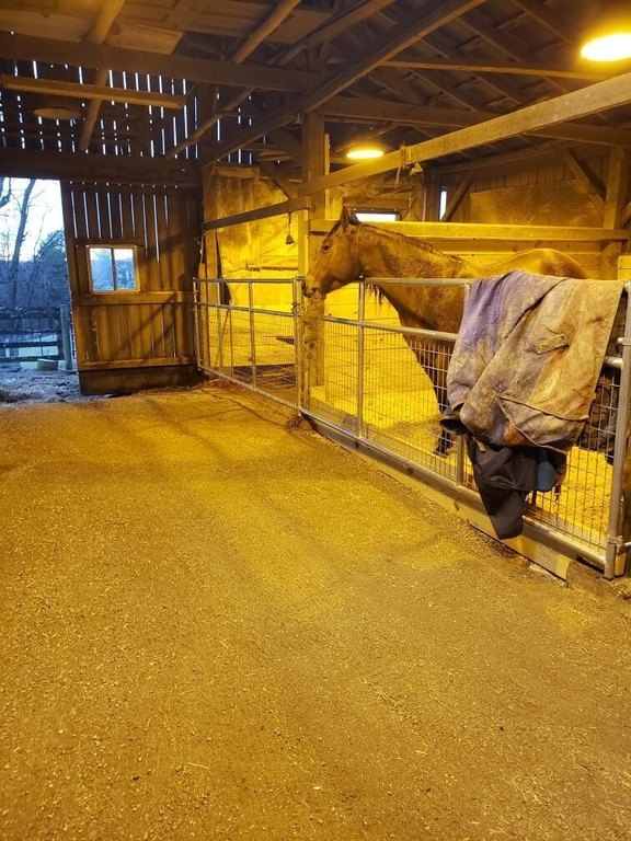Picture 12