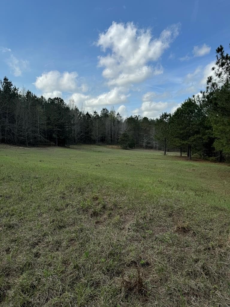 Recreational and Hunting Land in Louisville