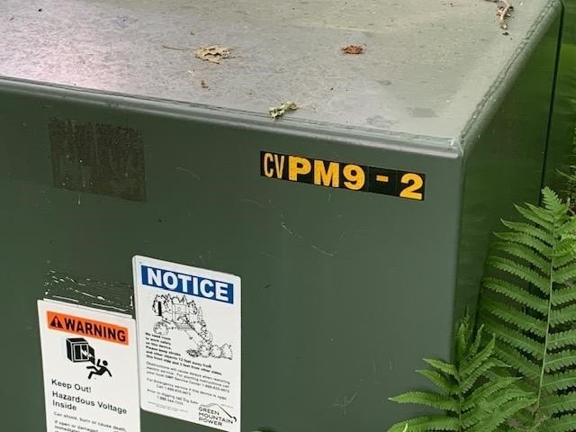 Picture 19