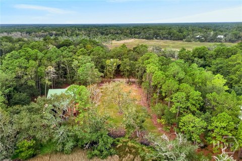 Land, Townsend, GA