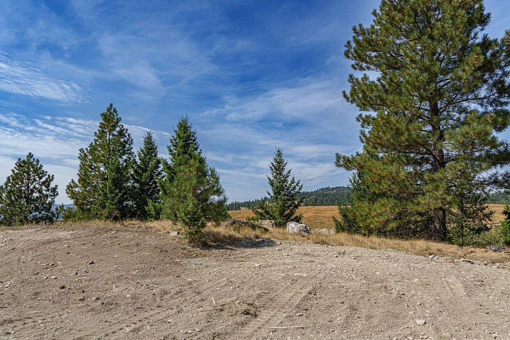 Picture 22