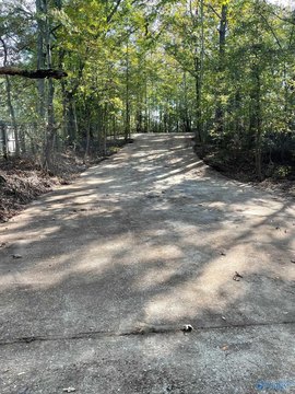Blountsville Land For Sale