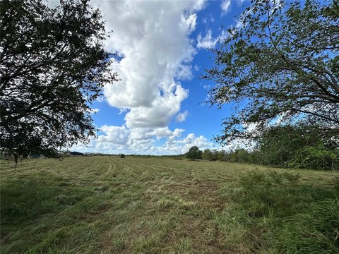 LAND - MYAKKA CITY, FL